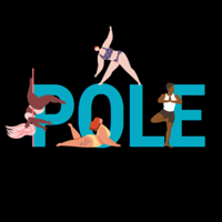 Pole Fitness Studio NC