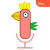 Parrot Recorder - Pro icon