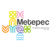 Metepec *7311 - H. Ayuntamiento de Metepec