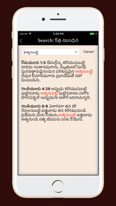 Holy Bible - Telugu Edition iPhone screenshot 5