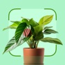 Get Plant ID & Care: Planthy AI for iOS, iPhone, iPad Aso Report