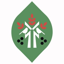 Алюшина Страсть