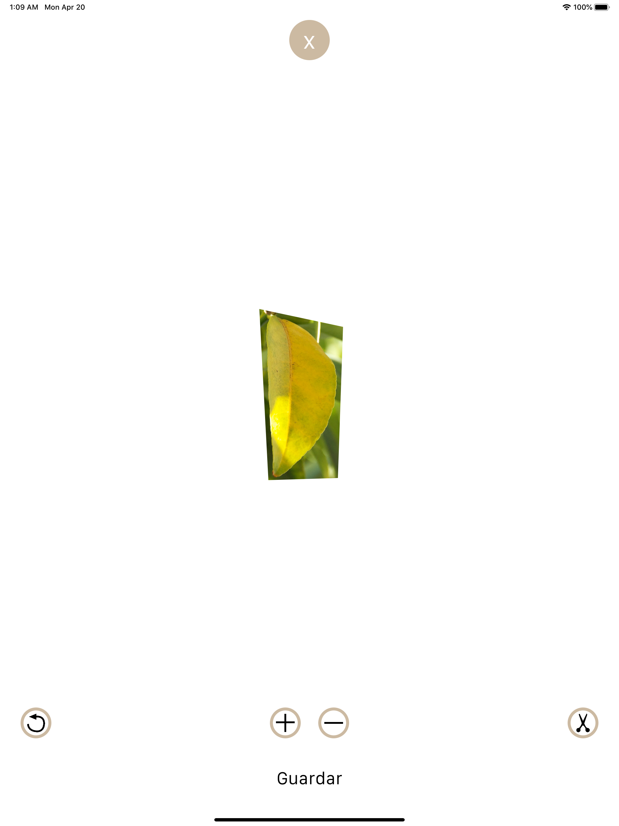 Simple Cut - Photo Crop