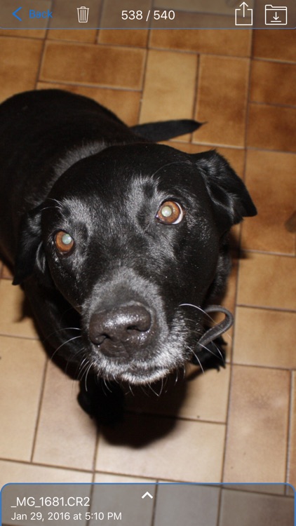 Camera Connect & Control screenshot-3