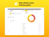 Checkbook - Account Tracker ipad bilder 2