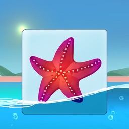 Onnect – Pair Matching Puzzle