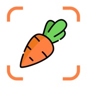 Nutrix AI - AI Meal Tracker