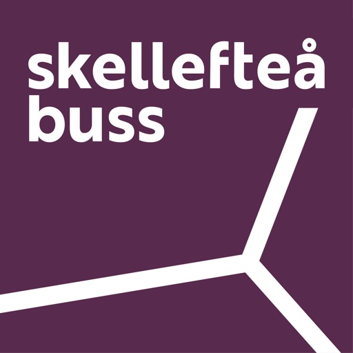 Skellefteå buss