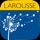 Larousse Spanish Basic