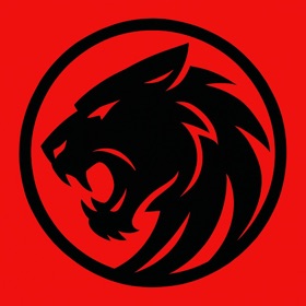 Timaceta