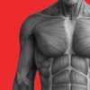 Workout Planner & Log - BCAA icon