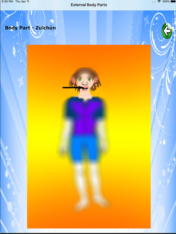 Body Parts - Middle and Asia iPad screenshot 4 - Education app