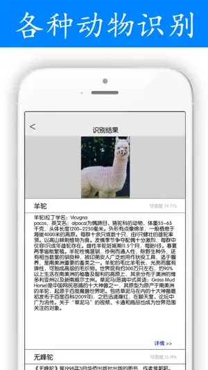 AI之美-会智能作诗，全能识图的APP screenshot 4