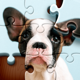 Jigsaw Puzzles: Puzzle Game HD