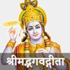 Bhagavad Gita in hindi - iPadアプリ
