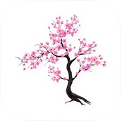 Timefully - Meditation Timer