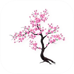 Timefully - Meditation Timer