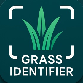 Grass Identifier: AI Scan
