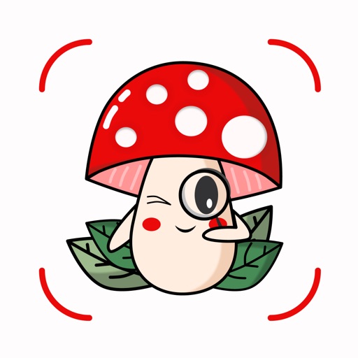 Mushroom Identification: AI ID