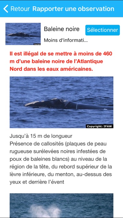 Screenshot #2 pour Whale Alert