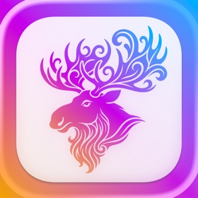Moose: Knowledge Weaver