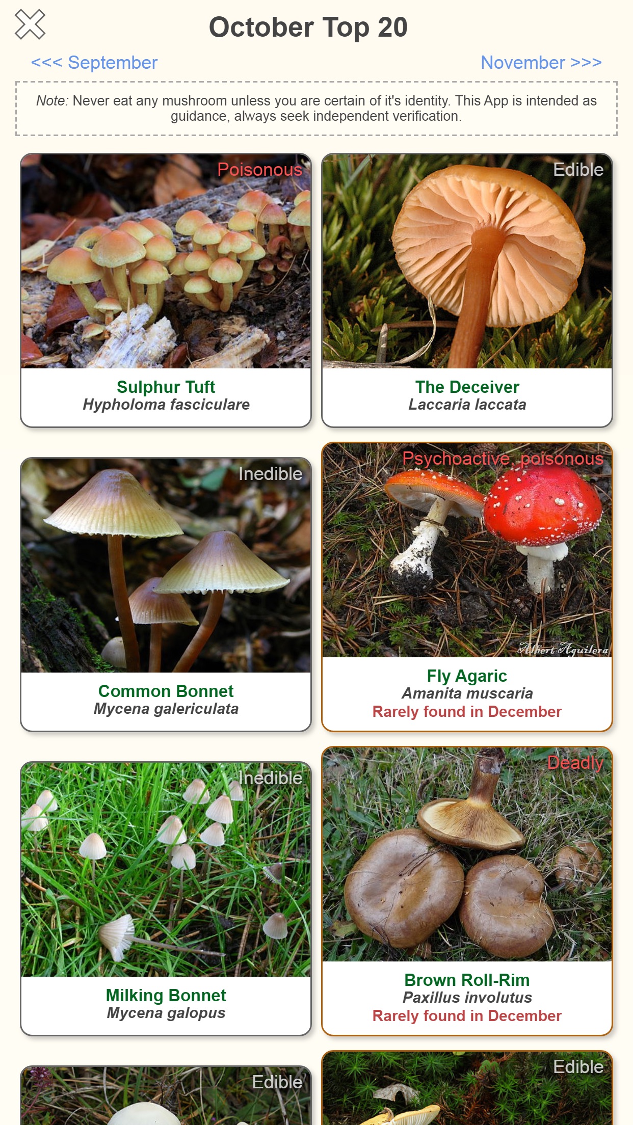 Screenshot 2 of Shroomify - Mushroom ID