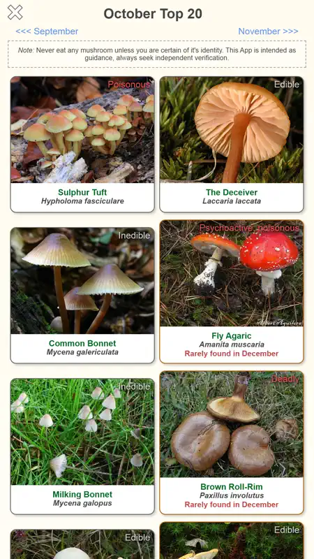 Shroomify - Mushroom ID screenshot 2 of 7