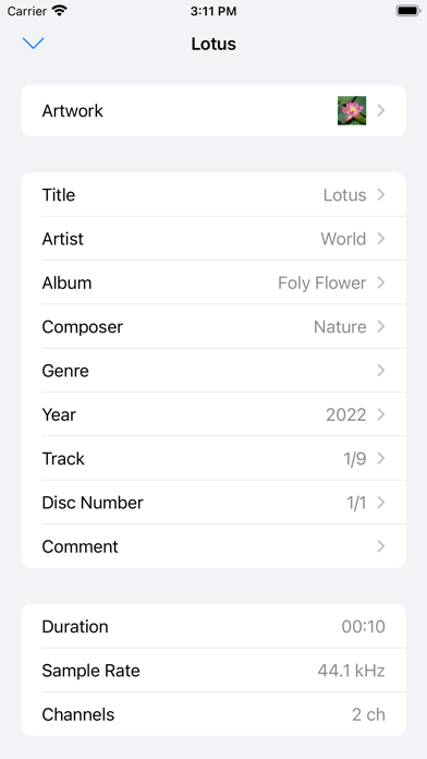 LoveMusic Player - Local Play Screenshot