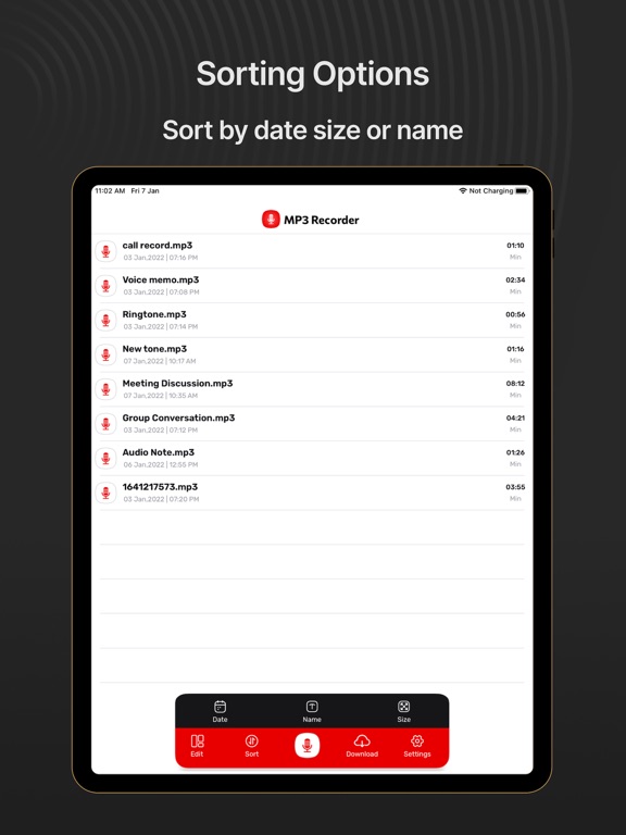 Record Audio & Mp3 Recorder iPad screenshot 3 - Business app