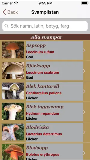 Svamparna screenshot 2