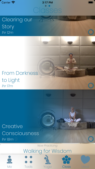 Light on Kundalini Screenshot