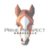 Prime Prospect Horses icon