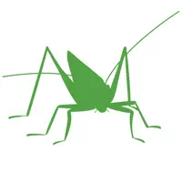 Orthoptera