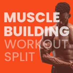 Muscle Building Workout Split