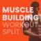 Muscle Building Workout Program takes your muscle gains to the next level