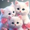 Cute Cats 4k TM Wallpaper App