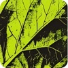 HRMS By Lemon icon