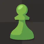 Chess - Play & Learn App Contact