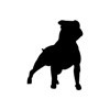 Cuidado Con el Perro icon