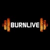 BurnLive Trainer icon