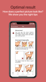 Cat Scanner screenshot