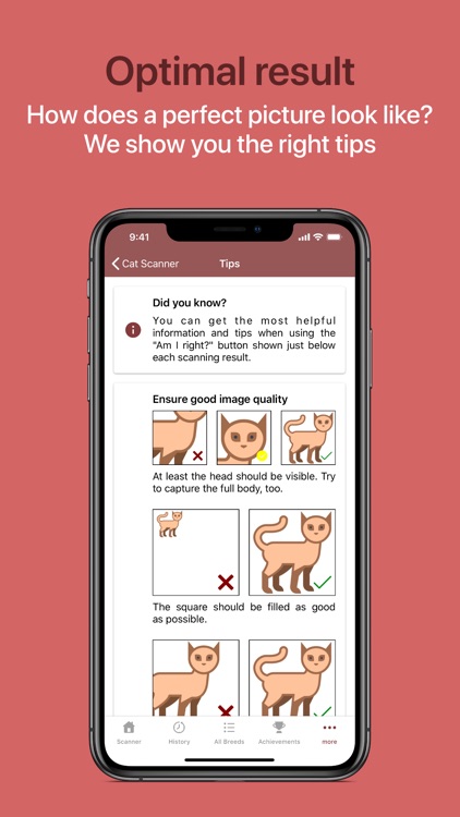 Cat Scanner screenshot-9