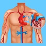 Get Cardiovascular System Quizzes for iOS, iPhone, iPad Aso Report