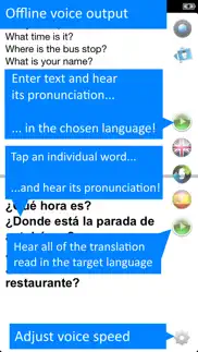 offline translator: spanish hd iphone screenshot 4