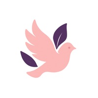 Bible for Women: Daily Verses