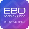 BS Ustrzyki Dolne EBO Junior icon