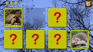 Children Animal Jigsaw Puzzles screenshot 4