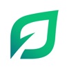 LendingTree Spring icon