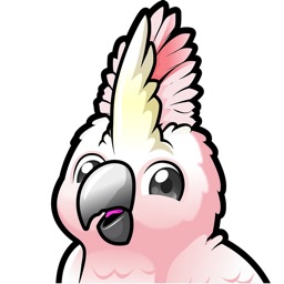 Cockatoo: AI Voice Notes