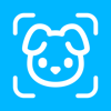 Dog Identifier - DoggyID - Andrii Cherniakhov